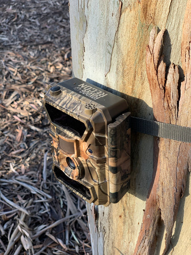 Recon